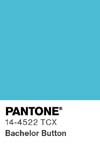 102 pantone color chip 14 4522 tcx