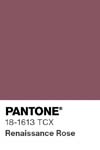 103 pantone color chip 18 1613 tcx