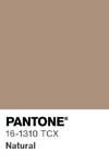 105 pantone color chip 16 1310 tcx