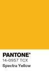 111 pantone color chip 14 0957 tcx