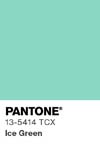 115 pantone color chip 13 5414 tcx