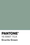 116 pantone color chip 16 5907 tcx