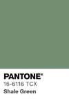 117 pantone color chip 16 6116 tcx