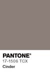 119 pantone color chip 17 1506 tcx