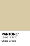 129 pantone color chip 13 0613 tcx