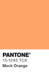 13 pantone color chip 15 1245 tcx