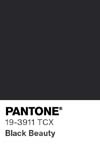 21 pantone color chip 19 3911 tcx