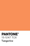 29 pantone color chip 15 1247 tcx
