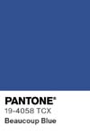 32 pantone color chip 19 4058 tcx