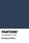 36 pantone color chip 19 4028 tcx