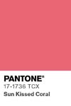 37 pantone color chip 17 1736 tcx