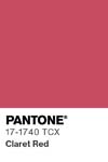 38 pantone color chip 17 1740 tcx