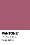 41 pantone color chip 17 1623 tcx