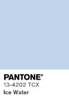 46 pantone color chip 13 4202 tcx