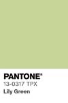 48 pantone color chip 13 0317 tpx