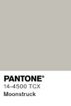 50 pantone color chip 14 4500 tcx