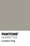 51 pantone color chip 16 0207 tcx