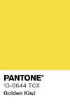 52 pantone color chip 13 0644 tcx