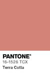 53 pantone color chip 16 1526 tcx