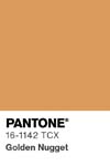 56 pantone color chip 16 1142 tcx