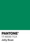 57 pantone color chip 17 6030 tcx