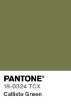 61 pantone color chip 18 0324 tcx