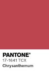68 pantone color chip 17 1641 tcx