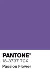71 pantone color chip 18 3737 tcx