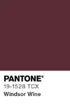 72 pantone color chip 19 1528 tcx