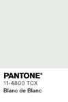 73 pantone color chip 11 4800 tcx