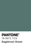 74 pantone color chip 18 5612 tcx