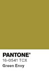 76 pantone color chip 16 0541 tcx
