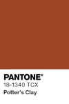 79 pantone color chip 18 1340 tcx