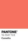 84 pantone color chip 16 1541 tcx