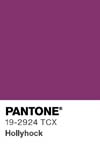 85 pantone color chip 19 2924 tcx