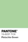 89 pantone color chip 13 0221 tcx
