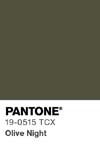91 pantone color chip 19 0515 tcx