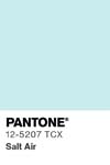 92 pantone color chip 12 5207 tcx