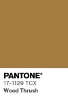 94 pantone color chip 17 1129 tcx