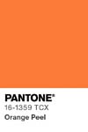 95 pantone color chip 16 1359 tcx