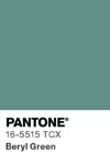 98 pantone color chip 16 5515 tcx