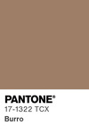 5504 pantone color chip 17 1322 tcx
