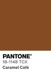 5505 pantone color chip 18 1148 tcx