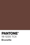 5506 pantone color chip 19 1235 tcx