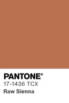 5507 pantone color chip 17 1436 tcx