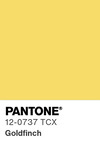 5509 pantone color chip 12 0737 tcx