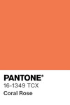 5514 pantone color chip 16 1349 tcx