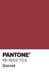 5516 pantone color chip 19 1655 tcx