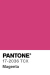 5519 pantone color chip 17 2036 tcx