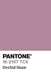 5520 pantone color chip 16 2107 tcx